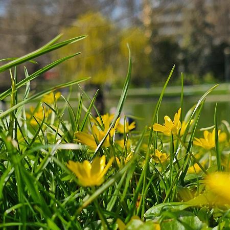 Apartament Central Park Kielce Zewnętrze zdjęcie