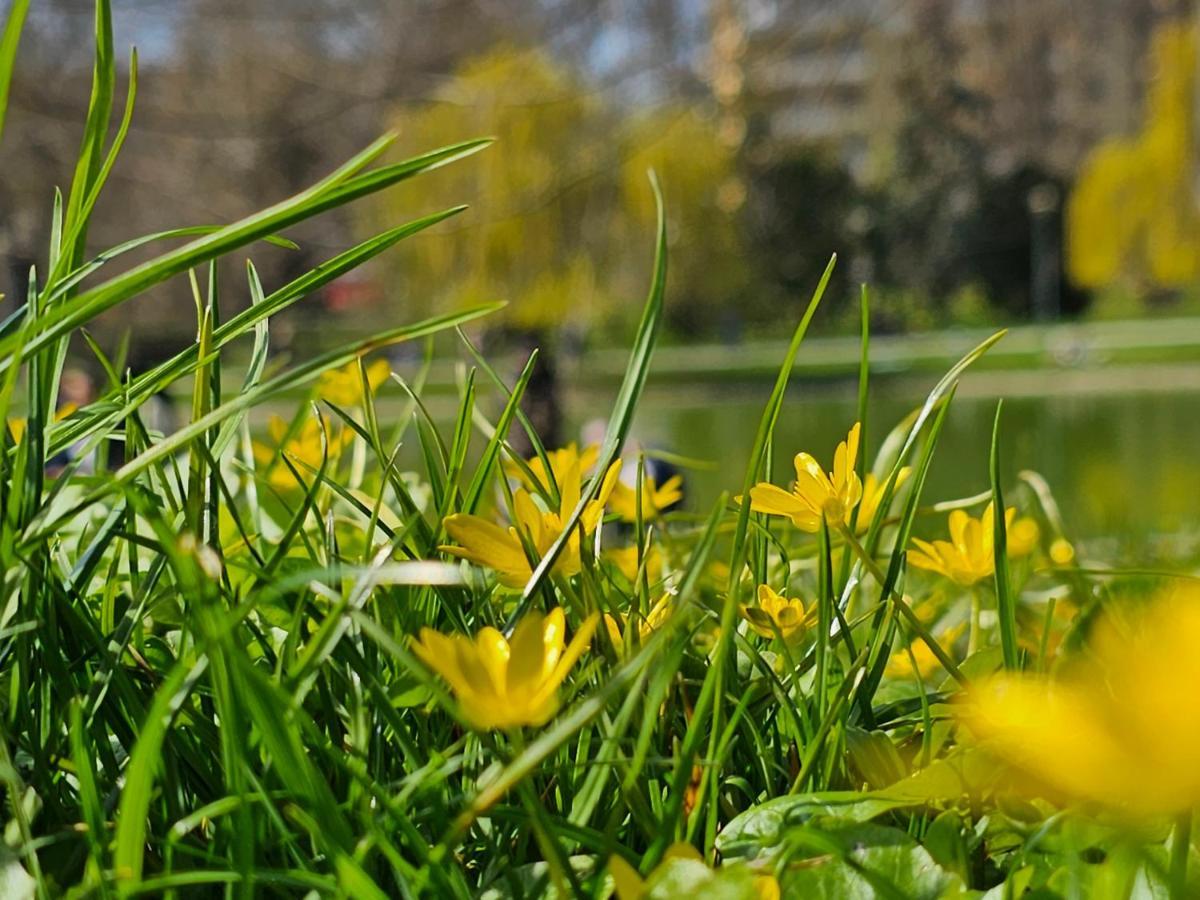 Apartament Central Park Kielce Zewnętrze zdjęcie